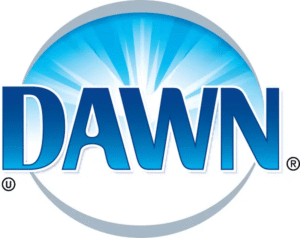 dawn-seeklogo